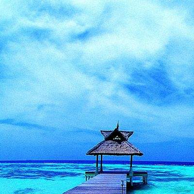 569vip威尼斯游戏