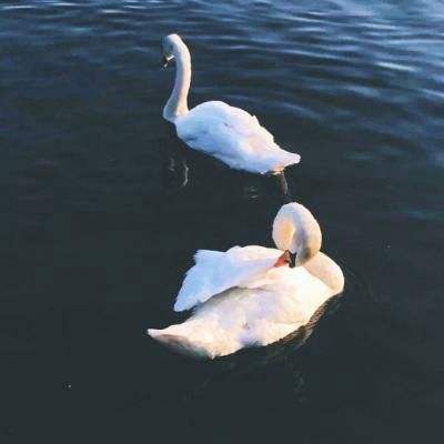 爱游戏全站app官网入口详解