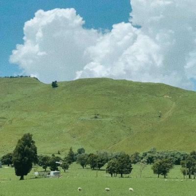 kaiyun电竞入口app下载