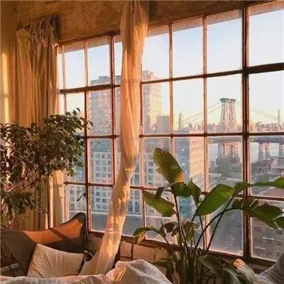 贝博app体育下载安装8499