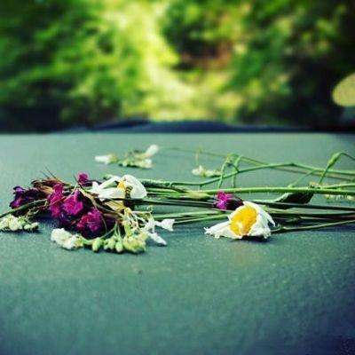 半岛综合app官网版登录