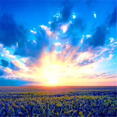 博业体育官网boye