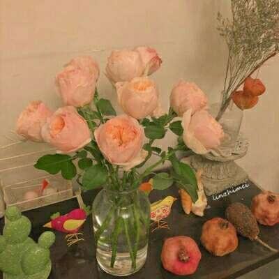 kok中欧登录入口app下载