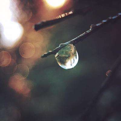 快三买大小的正规平台